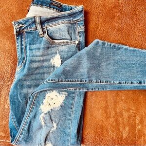 Judy Blue Skinny Jeans